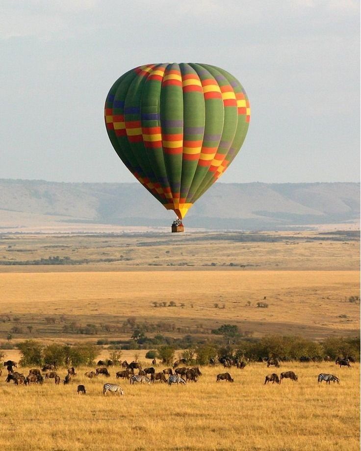 Tanzania Honeymoon Safari